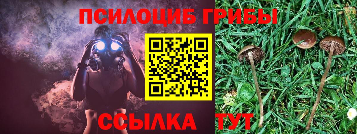 Галлюциногенные грибы прущие грибы  Галлюциногенные грибы мухоморы  Вход с VPN  Саянск 